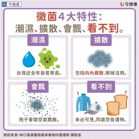 發黴處理|發霉 是什麼？原因、危害及預防方法一覽